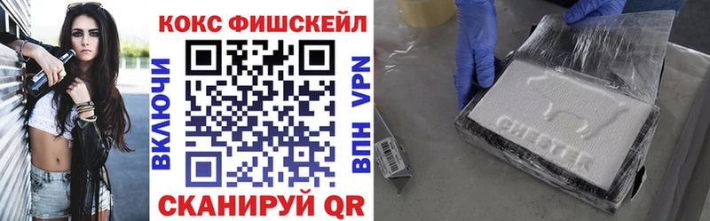 Кокаин Fish Scale  купить закладку  Новотроицк 