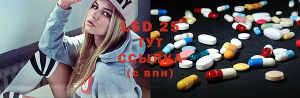 тгк Богородицк