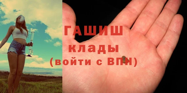 индика Саяногорск