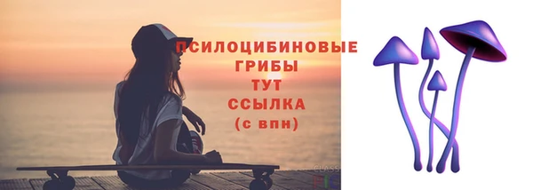 дживик Аркадак