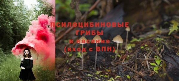 спайс Арсеньев