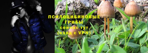 дживик Аркадак