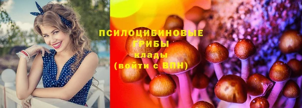 дживик Аркадак