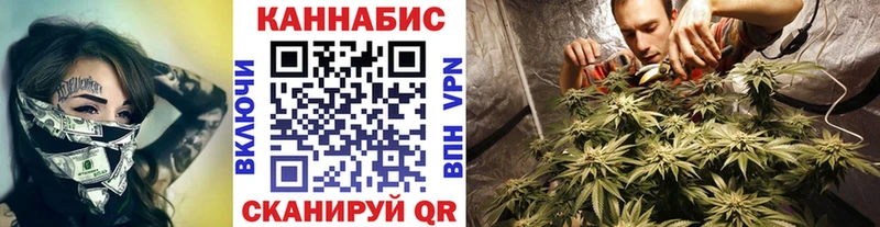 закладка  Новотроицк  Канабис Amnesia 